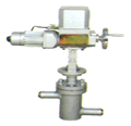 T961Yѹදڷ